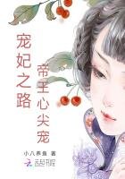 寵妃之路:帝王心尖寵